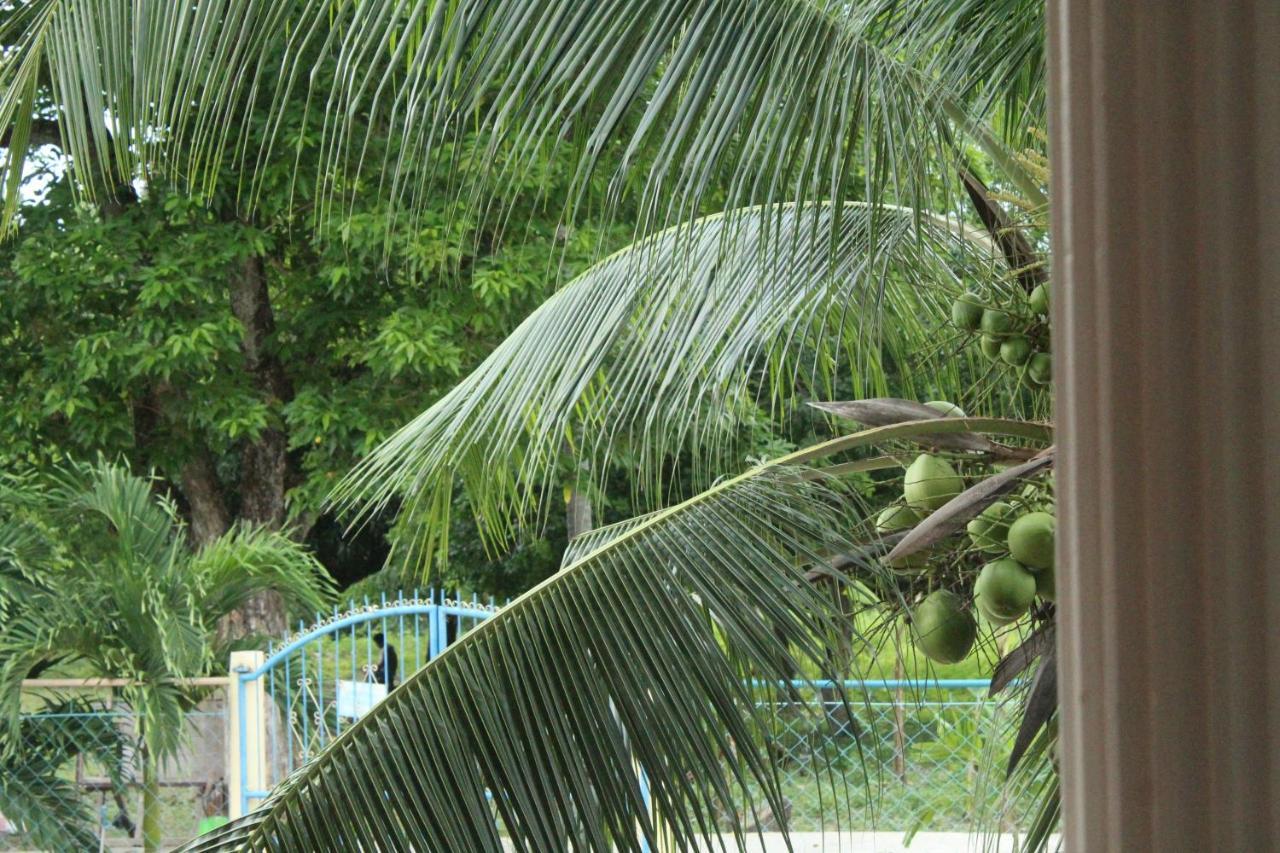 Maya Guest House - Sipaway Island San Carlos  Exterior photo